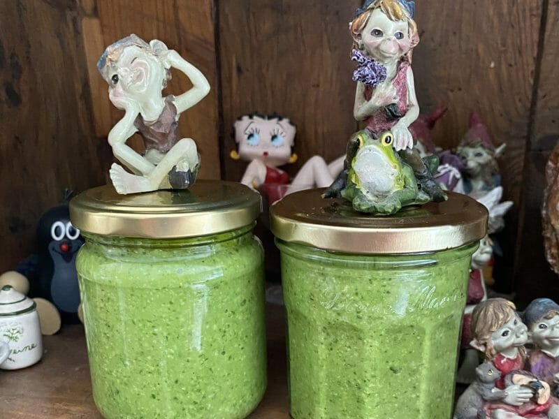 Cliquez pour zoomer ! Pesto aux fanes de radis Thermomix par Miminefer