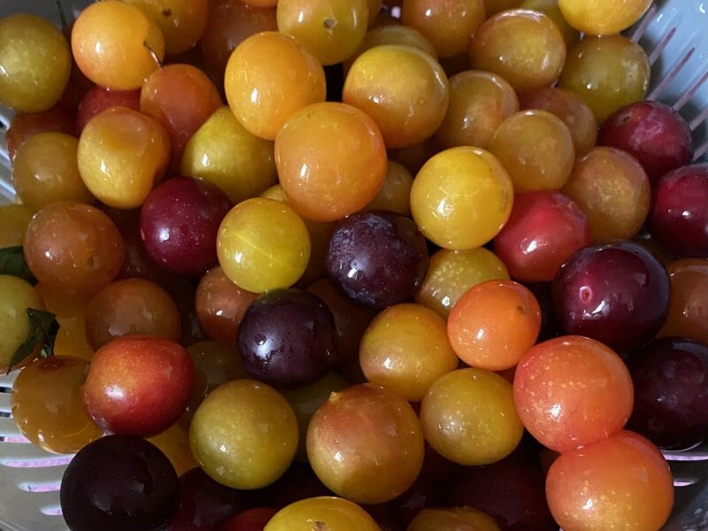 Cliquez pour zoomer ! Confiture de mirabelles Thermomix par Miminefer