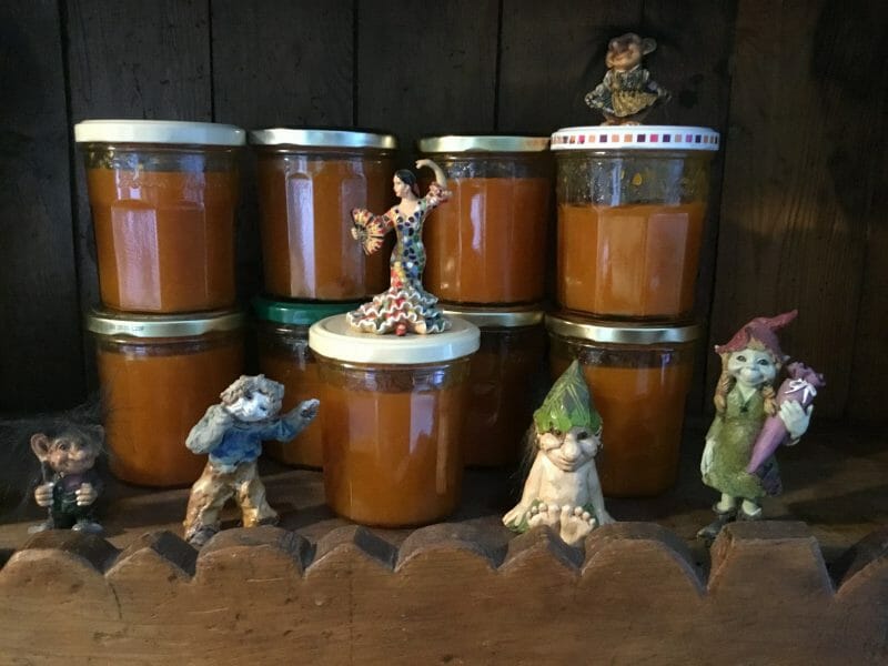 Cliquez pour zoomer ! Confiture d’abricots Thermomix par Miminefer