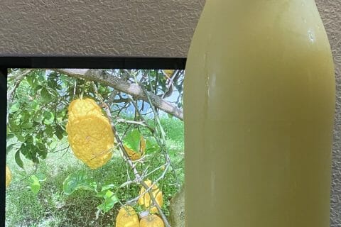 Cliquez pour zoomer ! Citronnade Thermomix par Miminefer