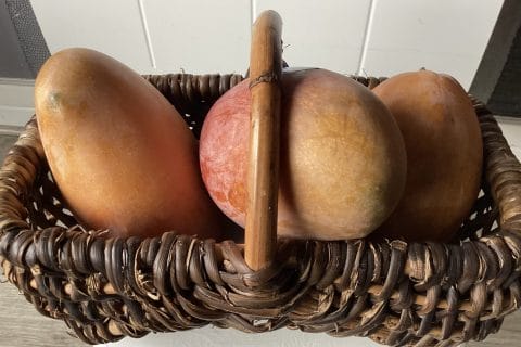 Cliquez pour zoomer ! Confiture de mangue Thermomix par Miminefer