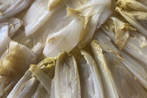 Cliquez pour zoomer ! Quiche endives, lardons et gorgonzola Thermomix par Miminefer