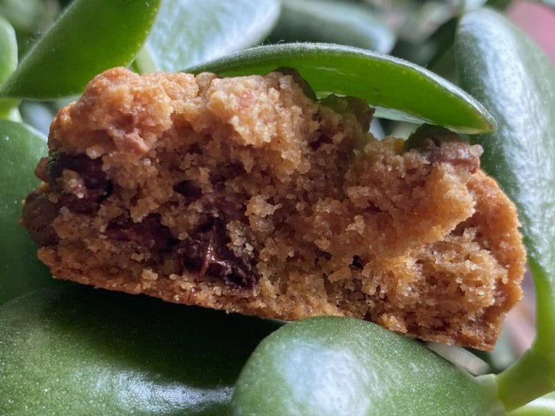 Cliquez pour zoomer ! Biscuits danois Thermomix par Miminefer