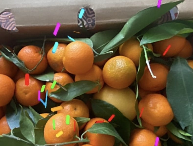 Cliquez pour zoomer ! Confiture de clémentines Thermomix par Miminefer