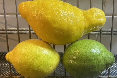 Cliquez pour zoomer ! Citronnade Thermomix par Miminefer