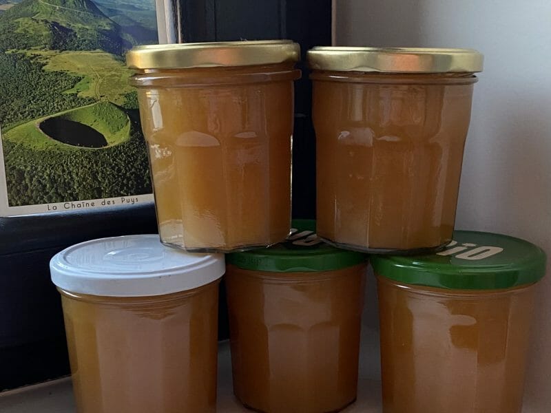 Cliquez pour zoomer ! Confiture de pêches Thermomix par Miminefer