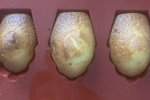 Cliquez pour zoomer ! Madeleines au yaourt Thermomix par Miminefer
