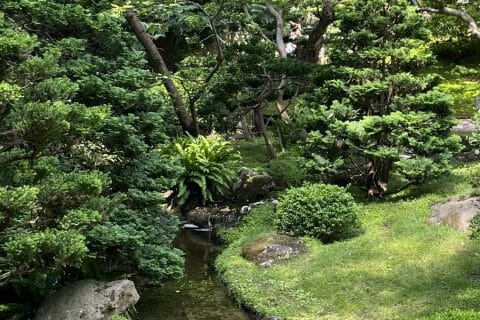 Cliquez pour zoomer ! Photo de Miminefer