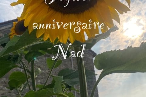 Cliquez pour zoomer ! Photo de Miminefer