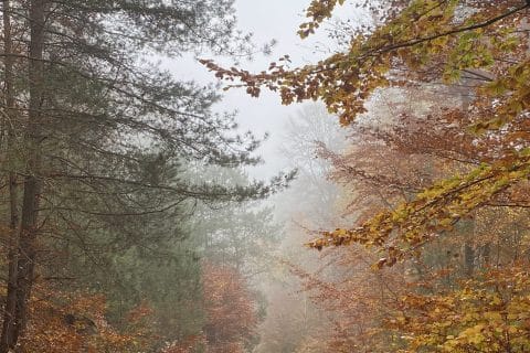 Cliquez pour zoomer ! Photo de Miminefer Thermomix par Miminefer