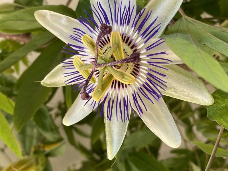 Cliquez pour zoomer ! Photo de Miminefer Thermomix par Miminefer