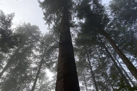 Cliquez pour zoomer ! Photo de Miminefer Thermomix par Miminefer