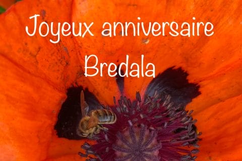 Cliquez pour zoomer ! Photo de Miminefer