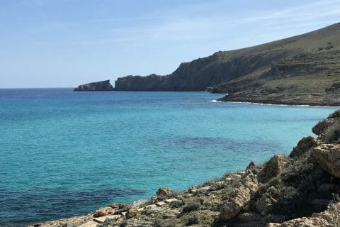 Cliquez pour zoomer ! Photo de miminefer