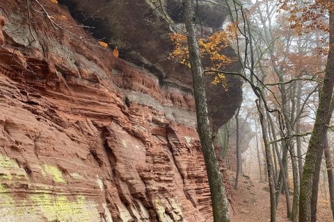 Cliquez pour zoomer ! Photo de Miminefer Thermomix par Miminefer