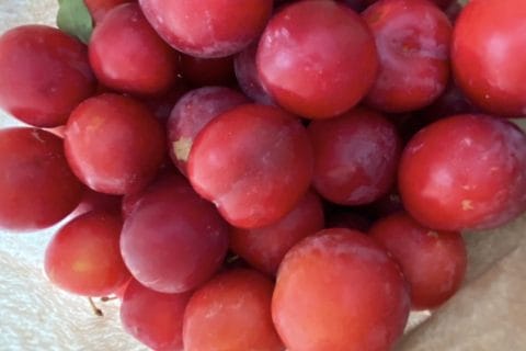 Cliquez pour zoomer ! Photo de Miminefer