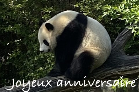 Cliquez pour zoomer ! Photo de Miminefer