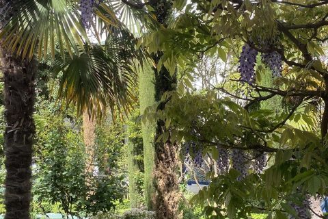 Cliquez pour zoomer ! Photo de Miminefer Thermomix par Miminefer