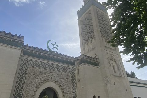 Cliquez pour zoomer ! Photo de Miminefer