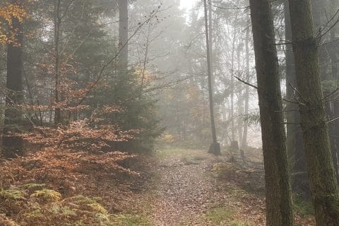 Cliquez pour zoomer ! Photo de Miminefer Thermomix par Miminefer