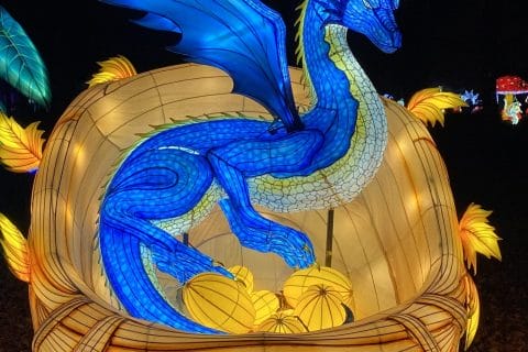 Cliquez pour zoomer ! Photo de Miminefer Thermomix par Miminefer