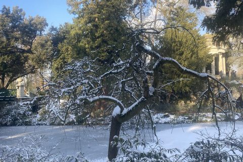 Cliquez pour zoomer ! Photo de Miminefer Thermomix par Miminefer