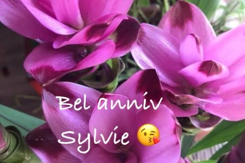 Cliquez pour zoomer ! Photo de Miminefer