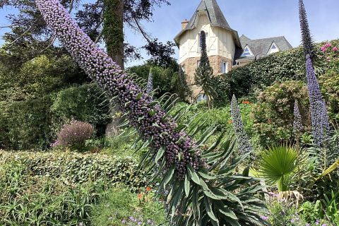 Cliquez pour zoomer ! Photo de Miminefer Thermomix par Miminefer