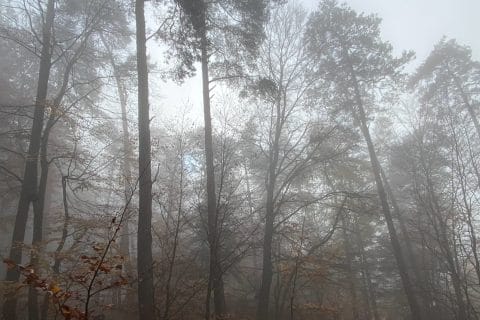 Cliquez pour zoomer ! Photo de Miminefer Thermomix par Miminefer