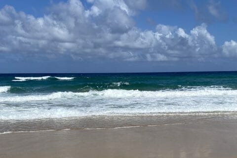 Cliquez pour zoomer ! Photo de Miminefer Thermomix par Miminefer