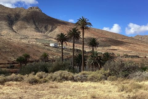 Cliquez pour zoomer ! Photo de Miminefer