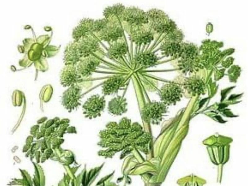 Cliquez pour zoomer ! Photo de Miminefer Thermomix par Miminefer