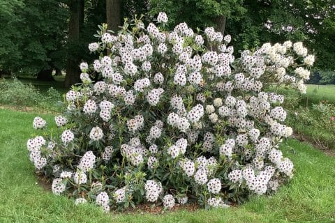 Cliquez pour zoomer ! Photo de Miminefer Thermomix par Miminefer