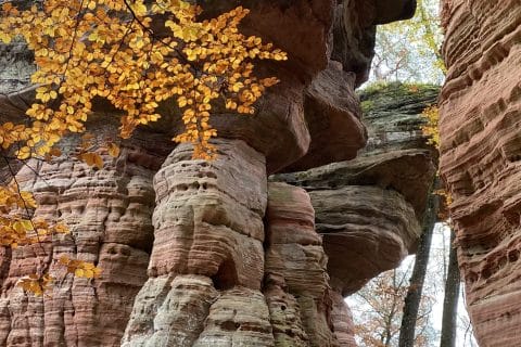 Cliquez pour zoomer ! Photo de Miminefer Thermomix par Miminefer