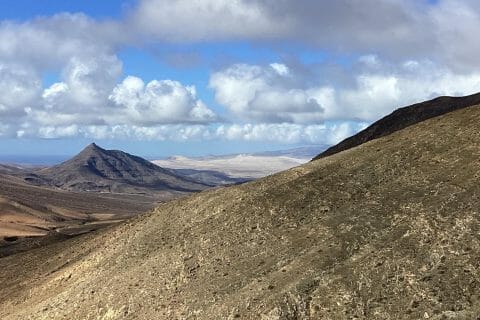 Cliquez pour zoomer ! Photo de Miminefer