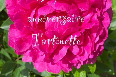 Cliquez pour zoomer ! Photo de Miminefer