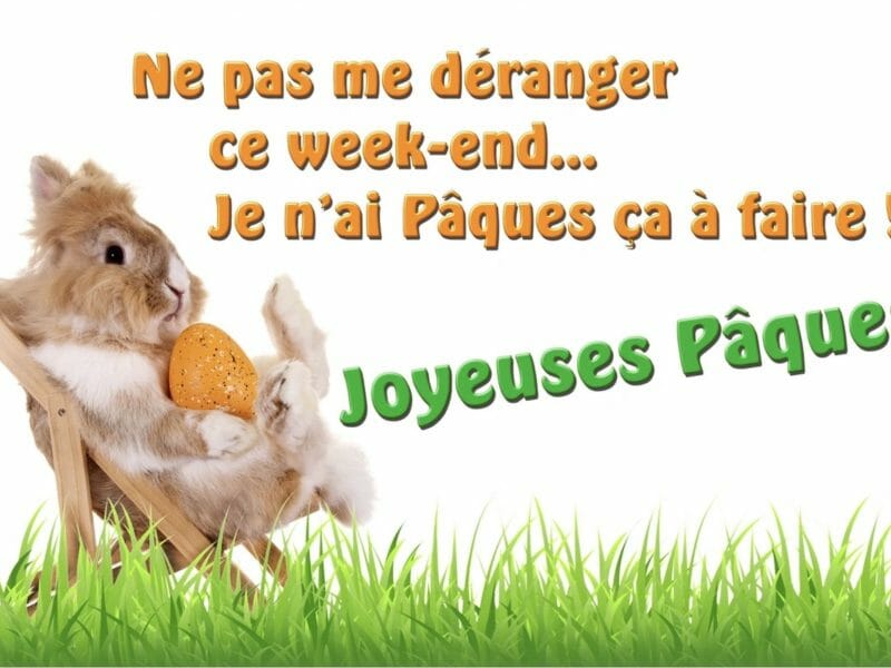 Cliquez pour zoomer ! Photo de Miminefer Thermomix par Miminefer