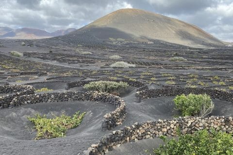 Cliquez pour zoomer ! Photo de Miminefer