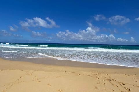 Cliquez pour zoomer ! Photo de Miminefer Thermomix par Miminefer