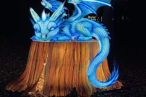 Cliquez pour zoomer ! Photo de Miminefer Thermomix par Miminefer