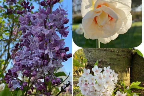 Cliquez pour zoomer ! Photo de Miminefer