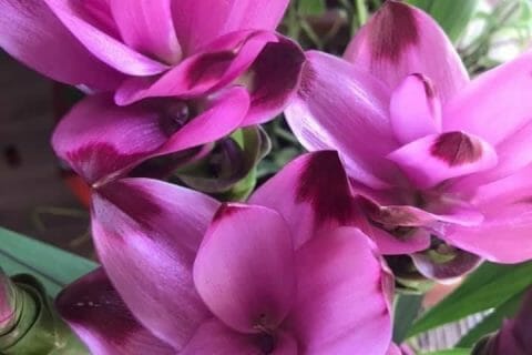 Cliquez pour zoomer ! Photo de Miminefer Thermomix par Miminefer