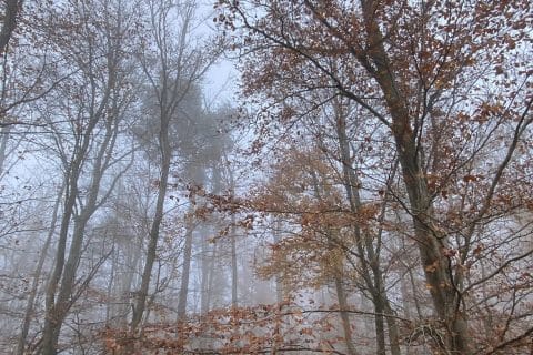 Cliquez pour zoomer ! Photo de Miminefer Thermomix par Miminefer