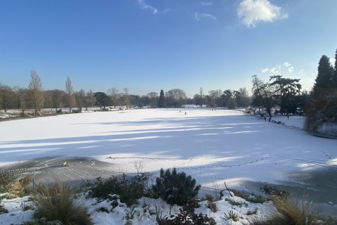 Cliquez pour zoomer ! Photo de Miminefer Thermomix par Miminefer