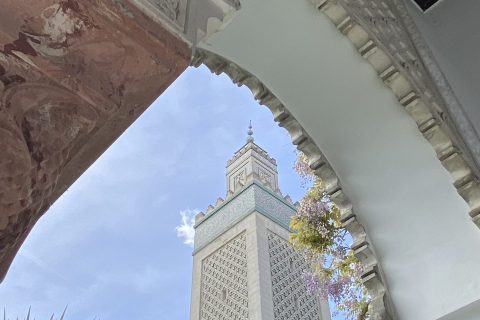 Cliquez pour zoomer ! Photo de Miminefer Thermomix par Miminefer