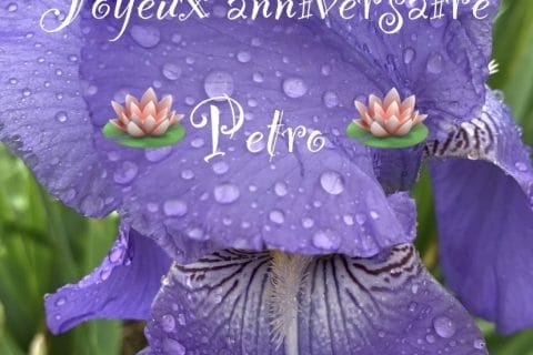 Cliquez pour zoomer ! Photo de Miminefer