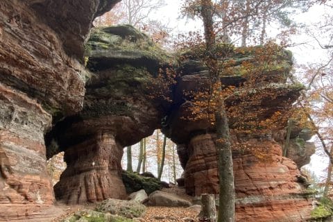 Cliquez pour zoomer ! Photo de Miminefer Thermomix par Miminefer