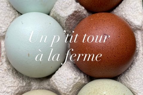 Cliquez pour zoomer ! Photo de Miminefer Thermomix par Miminefer