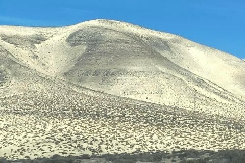 Cliquez pour zoomer ! Photo de Miminefer Thermomix par Miminefer