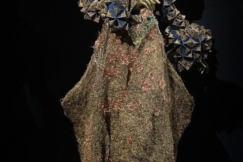 Cliquez pour zoomer ! Photo de Miminefer